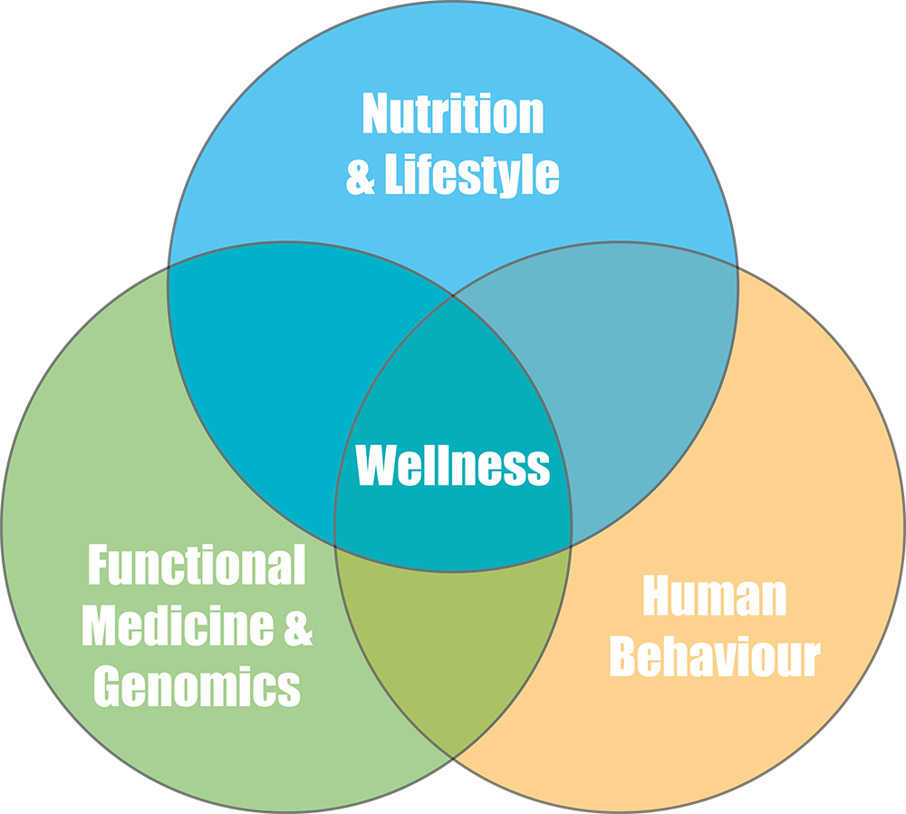 human-behaviour-diagram-dave-hompes